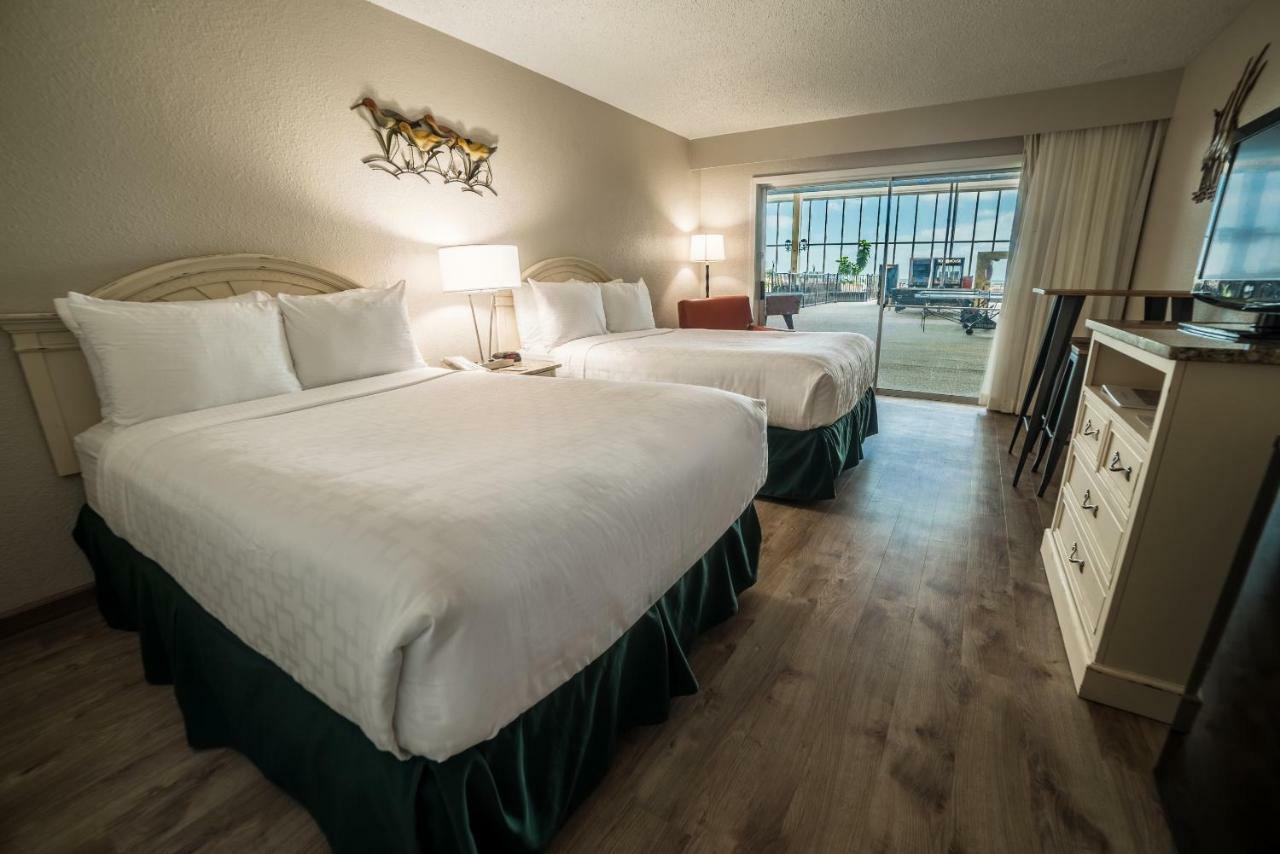 Emerald Beach Hotel Corpus Christi Rom bilde